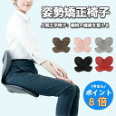 【オススメ-限定8倍】姿勢ケアシート スタイル 生地あり 骨盤 補正 椅子 姿勢矯正 椅子 座るだけ腰が痛くならないクッション 骨盤サポートチェア 軽量 お持ち...