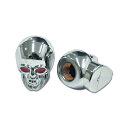 Chromed Skull GA ou Lbv