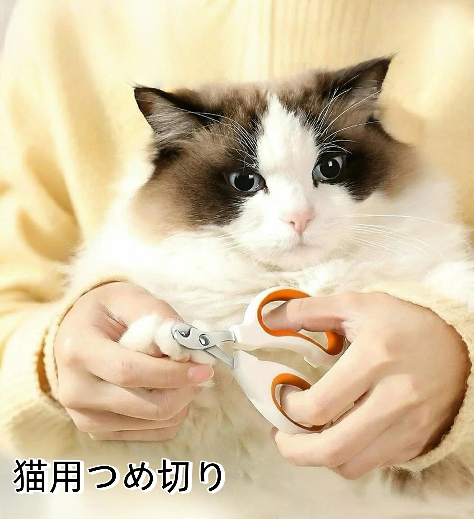 ǭ ���ڤ� ǭ ���ڤ� ˽��� ���å� ǭ�����ڤ� �ͤ����ڤ� �ڥå����ڤ� ǭ �Ĥ᤭�� ǭ �Ĥ��ڤ� ǭ�����ڤ� �ͥ����ڤ� ǭ�����ڤ� ǭ�����ڤ� �ڥå�...