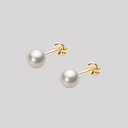 ギフト対応についてオーソドックスな直結タイプの定番ピアス。真珠の輝きだけで耳もとを華やかに飾ります。シンプルなデザインなので、どんな時でもお使いいただけるデザインです。真珠のサイズは、ベビーパールのちょっと小さめ5.0mm。かわいらしいサイズの珠です。5mmサイズの生産量は、日本産・アコヤ真珠のなかのわずか3%しかない稀少品です。色はホワイト系色のシャンパンカラー。ホワイトの色にほんのりシャンパンカラーが入っています。キズは最高等級・★★★★★のほぼ無キズの希少品で、テリ等級は★★★★のテリの強い真珠です。キズ等級は、全生産量に対し、わずか0.1％の割合でグレーディングしています。形状はどのアイテムでも使用可能なラウンド。Moon Labelの厳しい品質基準に基づき、ラウンドは純粋な真円真珠のみを厳選しています。 Moon Label のアコヤ真珠は、日本産に限定してご提供しています。大月真珠は、パールネックレス＆ジュエリーのトップメーカーです。Moon Label は、大月真珠のインターネット・ブランドです。 ※真珠の色には個体差があります。真珠は、太陽光でご覧いただくのと、電灯の下でご覧いただくのでは見え方が変化します。電灯の色や光量などでも変わります。また、お客様のパソコンモニターのメーカーや設定などによっても、色の見え方には差が出ます。&nbsp;商品詳細品名5.0mmアコヤ真珠ピアス（シャンパンホワイト）型番HA00050R12CW0PA03Yサイズアコヤ真珠・5.0mm色シャンパンホワイト形ラウンドキズ等級★★★★★（5段階評価／日本の全生産量ベース）テリ等級★★★★（5段階評価／日本の全生産量ベース）素材・詳細K18YG（イエローゴールド）真珠の産地日本付属品保証書&nbsp;&nbsp;&nbsp;日本でも、世界でも、アコヤ真珠の高級品の30%以上は当社製です。Moon Label は、パールネックレスのトップメーカーである大月真珠のインターネット・ブランドです。大月真珠は、アコヤ真珠の1級品（1級が最高級）の取扱量で30%以上のトップシェア（共販実績）を誇る会社です。言い換えれば、日本でも、世界でも、アコヤ真珠の高級品では、流通している商品の30%以上は当社製です。そのため、他社（他店）でご購入されていても、30%以上の確率で当社製の真珠をご購入されている可能性が高いと言えます。黒蝶真珠、白蝶真珠（ホワイト系、ゴールド系）においてもトップクラスの取扱量を誇っています。真珠の一貫メーカーが運営するオンラインショップです。大月真珠は、卸しの会社として名を知られた会社ですが、真珠の養殖から加工、販売までをおこなう一貫メーカーです。パールネックレスのメーカーとしては、国内で最も多くのネックレスを製作しています。真珠ルースについても国内最大量の供給元です。日本で一貫メーカーと呼べる会社は数社しか存在しません。トップメーカーが運営するショップなので、はじめての方でも安心してご購入いただけます。&nbsp;他社（他店）製の真珠と品質を比較してください。Moon Label で取り扱っている真珠はすべて自社で加工・製作した商品（金具、チェーンを除く）です。 そのため、商品には自信と責任を持ってお届けしています。ご購入後、他社（他店）の真珠と比較していただければ、その違いがお分かりになるはずです。パールジュエリーの種類は国内最大です。パールジュエリーの種類は、アコヤ真珠をはじめ、黒蝶真珠、白蝶真珠など、常時20,000種類以上を取り揃え、パールジュエリーの種類は国内最大です。現在、真珠を取り扱っているオンラインショップで、これだけの種類を揃えているところは存在しません。また、小売店舗の場合でも、現実的には店舗にストックできる在庫点数が限られるため、これだけの商品点数を揃えることは不可能です。Moon Label はインターネットでしか実現できなかったショップなのです。&nbsp;世界が認めた品質基準の商品をお届けします。大月真珠は、1975年以来、日本の真珠輸出額でトップ（日本真珠輸出加工組合統計）の座を守り続けています。世界の宝飾ブランドをはじめとするジュエラーが大月真珠の品質を認め、商品として採用をいただいています。この実績が、ワールド・スタンダードの証です。全生産量をベースとした明確なグレーディングを実施しています。Moon Label でご提供している商品も、このハイレベルの品質基準に基づいて製作されています。Moon Label のグレーディング（品質基準）は、在庫における相対比較ではなく、全生産量をベースとした明確なグレーディングです。また、すべての商品に、基本保証として1年間の無償修理保証が付いていますので、安心してお買い求めいただけます。Moon Label で取り扱っている真珠は、品質管理の観点から、貝種（真珠の種類）ごとに産地を限定しています。アコヤ真珠はすべて日本産、黒蝶真珠はフレンチポリネシア（タヒチ）産、白蝶真珠はオーストラリアとインドネシア産に限定してご提供しています。&nbsp;&nbsp;真珠の価値を決める要素としては、大きさ（サイズ）のほか、色、形、キズ、テリ（光沢）、巻きの6つの要素があります。Moon Label ではすべての真珠で大月真珠のグレーディングシステムに基づき、厳格な品質管理基準をクリアした商品のみを取り扱っています。 Moon Label の品質基準は、在庫のおける相対的な品質評価ではなく、日本産アコヤ真珠の全生産量からの出現率をベースとした、絶対的な品質評価を品質基準としています。このサイトで使用している生産量に関する数値は、生産者団体（※全真連、愛媛漁連ほか）が実施しているアコヤ真珠・1級品入札会（1級が最高級）の共販実績の数値をベースに、全国の生産量の推計値をもとに算出しています。※全真連＝全国真珠養殖漁業協同組合連合会、愛媛漁連＝愛媛県漁業協同組合連合会&nbsp;&nbsp;&nbsp;&nbsp;&nbsp;&nbsp;&nbsp;&nbsp;