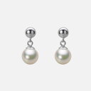 ギフト対応についてシンプルでオーソドックスなダングリングタイプのピアス。真珠が耳もとでぶら下がり、やさしく揺れます。シンプルなデザインなので、どんな時でもお使いいただけます。真珠のサイズは、少し小さめサイズの6.5mm。スリムに見えるサイズです。6mmサイズの生産量は、日本産・アコヤ真珠のなかの5%ほどしかありません。色はホワイト系色のシャンパンカラー。ホワイトの色にほんのりシャンパンカラーが入っています。キズは最高等級・★★★★★のほぼ無キズの希少品で、テリ等級は★★★★のテリの強い真珠です。キズ等級は、全生産量に対し、わずか0.1％の割合でグレーディングしています。形状はどのアイテムでも使用可能なラウンド。Moon Labelの厳しい品質基準に基づき、ラウンドは純粋な真円真珠のみを厳選しています。 Moon Label のアコヤ真珠は、日本産に限定してご提供しています。大月真珠は、パールネックレス＆ジュエリーのトップメーカーです。Moon Label は、大月真珠のインターネット・ブランドです。 ※真珠の色には個体差があります。真珠は、太陽光でご覧いただくのと、電灯の下でご覧いただくのでは見え方が変化します。電灯の色や光量などでも変わります。また、お客様のパソコンモニターのメーカーや設定などによっても、色の見え方には差が出ます。&nbsp;商品詳細品名6.5mmアコヤ真珠ピアス（シャンパンホワイト）型番HA00065R12CW0PA11Pサイズアコヤ真珠・6.5mm色シャンパンホワイト形ラウンドキズ等級★★★★★（5段階評価／日本の全生産量ベース）テリ等級★★★★（5段階評価／日本の全生産量ベース）素材・詳細PT（プラチナ900）真珠の産地日本付属品保証書&nbsp;&nbsp;&nbsp;日本でも、世界でも、アコヤ真珠の高級品の30%以上は当社製です。Moon Label は、パールネックレスのトップメーカーである大月真珠のインターネット・ブランドです。大月真珠は、アコヤ真珠の1級品（1級が最高級）の取扱量で30%以上のトップシェア（共販実績）を誇る会社です。言い換えれば、日本でも、世界でも、アコヤ真珠の高級品では、流通している商品の30%以上は当社製です。そのため、他社（他店）でご購入されていても、30%以上の確率で当社製の真珠をご購入されている可能性が高いと言えます。黒蝶真珠、白蝶真珠（ホワイト系、ゴールド系）においてもトップクラスの取扱量を誇っています。真珠の一貫メーカーが運営するオンラインショップです。大月真珠は、卸しの会社として名を知られた会社ですが、真珠の養殖から加工、販売までをおこなう一貫メーカーです。パールネックレスのメーカーとしては、国内で最も多くのネックレスを製作しています。真珠ルースについても国内最大量の供給元です。日本で一貫メーカーと呼べる会社は数社しか存在しません。トップメーカーが運営するショップなので、はじめての方でも安心してご購入いただけます。&nbsp;他社（他店）製の真珠と品質を比較してください。Moon Label で取り扱っている真珠はすべて自社で加工・製作した商品（金具、チェーンを除く）です。 そのため、商品には自信と責任を持ってお届けしています。ご購入後、他社（他店）の真珠と比較していただければ、その違いがお分かりになるはずです。パールジュエリーの種類は国内最大です。パールジュエリーの種類は、アコヤ真珠をはじめ、黒蝶真珠、白蝶真珠など、常時20,000種類以上を取り揃え、パールジュエリーの種類は国内最大です。現在、真珠を取り扱っているオンラインショップで、これだけの種類を揃えているところは存在しません。また、小売店舗の場合でも、現実的には店舗にストックできる在庫点数が限られるため、これだけの商品点数を揃えることは不可能です。Moon Label はインターネットでしか実現できなかったショップなのです。&nbsp;世界が認めた品質基準の商品をお届けします。大月真珠は、1975年以来、日本の真珠輸出額でトップ（日本真珠輸出加工組合統計）の座を守り続けています。世界の宝飾ブランドをはじめとするジュエラーが大月真珠の品質を認め、商品として採用をいただいています。この実績が、ワールド・スタンダードの証です。全生産量をベースとした明確なグレーディングを実施しています。Moon Label でご提供している商品も、このハイレベルの品質基準に基づいて製作されています。Moon Label のグレーディング（品質基準）は、在庫における相対比較ではなく、全生産量をベースとした明確なグレーディングです。また、すべての商品に、基本保証として1年間の無償修理保証が付いていますので、安心してお買い求めいただけます。Moon Label で取り扱っている真珠は、品質管理の観点から、貝種（真珠の種類）ごとに産地を限定しています。アコヤ真珠はすべて日本産、黒蝶真珠はフレンチポリネシア（タヒチ）産、白蝶真珠はオーストラリアとインドネシア産に限定してご提供しています。&nbsp;&nbsp;真珠の価値を決める要素としては、大きさ（サイズ）のほか、色、形、キズ、テリ（光沢）、巻きの6つの要素があります。Moon Label ではすべての真珠で大月真珠のグレーディングシステムに基づき、厳格な品質管理基準をクリアした商品のみを取り扱っています。 Moon Label の品質基準は、在庫のおける相対的な品質評価ではなく、日本産アコヤ真珠の全生産量からの出現率をベースとした、絶対的な品質評価を品質基準としています。このサイトで使用している生産量に関する数値は、生産者団体（※全真連、愛媛漁連ほか）が実施しているアコヤ真珠・1級品入札会（1級が最高級）の共販実績の数値をベースに、全国の生産量の推計値をもとに算出しています。※全真連＝全国真珠養殖漁業協同組合連合会、愛媛漁連＝愛媛県漁業協同組合連合会&nbsp;&nbsp;&nbsp;&nbsp;&nbsp;&nbsp;&nbsp;&nbsp;