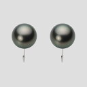 ブラック パール イヤリング 10mm 黒蝶 真珠 イヤリング PT900 プラチナ レディース NB00010R12PC0Y09P0 ムーンレーベル Moon...