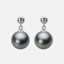 ブラック パール ピアス 10mm 黒蝶 真珠 ピアス PT900 プラチナ レディース NB00010R13DG0PA11P ムーンレーベル Moon Label(4)