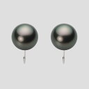 ブラック パール イヤリング 10mm 黒蝶 真珠 イヤリング PT900 プラチナ レディース NB00010R21PC0Y09P0 ムーンレーベル Moon...