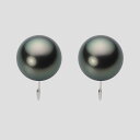 ブラック パール イヤリング 11mm 黒蝶 真珠 イヤリング K14WG ホワイトゴールド レディース NB00011R21PC0Y03W0 ムーンレーベル ...