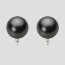 ブラック パール イヤリング 12mm 黒蝶 真珠 イヤリング K18WG ホワイトゴールド 18金 レディース NB00012R11BK0635WL ムーンレ...