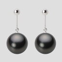 ブラック パール イヤリング 12mm 黒蝶 真珠 イヤリング K14WG ホワイトゴールド レディース NB00012R11BK0Y12W0 ムーンレーベル ...