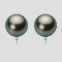 ブラック パール イヤリング 12mm 黒蝶 真珠 イヤリング K18WG ホワイトゴールド 18金 レディース NB00012R11PC0635WL ムーンレ...