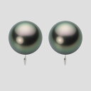 ブラック パール イヤリング 12mm 黒蝶 真珠 イヤリング K14WG ホワイトゴールド レディース NB00012R11PC0Y03W0 ムーンレーベル ...