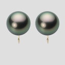 ブラック パール イヤリング 12mm 黒蝶 真珠 イヤリング K18 イエローゴールド 18金 レディース NB00012R11PC0Y06Y0 ムーンレーベ...