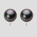 ブラック パール イヤリング 12mm 黒蝶 真珠 イヤリング PT900 プラチナ レディース NB00012R12BK0Y09P0 ムーンレーベル Moon...