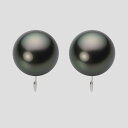ブラック パール イヤリング 12mm 黒蝶 真珠 イヤリング PT900 プラチナ レディース NB00012R12PC0Y09P0 ムーンレーベル Moon Label(4)