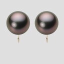 ブラック パール イヤリング 12mm 黒蝶 真珠 イヤリング K18 イエローゴールド 18金 レディース NB00012R12RB0Y06Y0 ムーンレーベ...