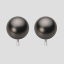 ブラック パール イヤリング 12mm 黒蝶 真珠 イヤリング K14WG ホワイトゴールド レディース NB00012R13BK0Y04W0 ムーンレーベル ...