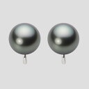 ブラック パール イヤリング 12mm 黒蝶 真珠 イヤリング K14WG ホワイトゴールド レディース NB00012R13DG0Y04W0 ムーンレーベル ...