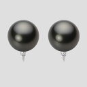ブラック パール イヤリング 12mm 黒蝶 真珠 イヤリング K18WG ホワイトゴールド 18金 レディース NB00012R13PC0635WL ムーンレ...