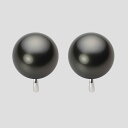 ブラック パール イヤリング 12mm 黒蝶 真珠 イヤリング K14WG ホワイトゴールド レディース NB00012R13PC0Y04W0 ムーンレーベル ...