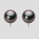 ブラック パール イヤリング 12mm 黒蝶 真珠 イヤリング K18WG ホワイトゴールド 18金 レディース NB00012R13RB0635WL ムーンレ...