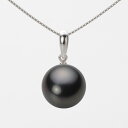 ブラック パール ネックレス 一粒 12mm 黒蝶 真珠 ペンダント K18WG ホワイトゴールド 18金 レディース NB00012R21BK01500W ムーンレーベル Moon Label