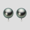 ブラック パール イヤリング 12mm 黒蝶 真珠 イヤリング K14WG ホワイトゴールド レディース NB00012R21DG0Y04W0 ムーンレーベル ...