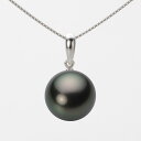 ブラック パール ネックレス 一粒 12mm 黒蝶 真珠 ペンダント K18WG ホワイトゴールド 18金 レディース NB00012R22PC01500W ム...