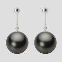 ブラック パール イヤリング 12mm 黒蝶 真珠 イヤリング K14WG ホワイトゴールド レディース NB00012R23PC0Y12W0 ムーンレーベル ...