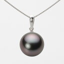 ブラック パール ネックレス 一粒 13mm 黒蝶 真珠 ペンダント K18WG ホワイトゴールド 18金 レディース NB00013R13RB01500W ム...