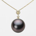 ギフト対応について小粒のダイヤモンドをサークル状にあしらい、その下の1粒ダイヤモンドでアクセントを付けたデザインのペンダント。真珠があなたの胸もとで揺れ、可憐でキュートな印象を演出します。真珠のサイズは13mm。このサイズはタヒチ産黒蝶真珠の大きめサイズです。色はブラック。黒蝶真珠はブラックパールとも呼ばれるため、黒い色の真珠をイメージされる方も多いはず。このブラックは、そのイメージ通りのダークなブラック系色です。この天然の特有の色は黒蝶真珠にしかない色です。テリ等級は★★★★のテリの強い真珠です。キズ等級は★★★★で、目立たない小さなちょっとしたキズがあります。真珠は自然の産物なので、真珠層が形成される過程で自然のキズができてしまいます。キズ等級の割合は、全生産量に対し、★★★★★＝0.1％、★★★★＝1％でグレーディングしています。形状はどのアイテムでも使用可能なラウンド。Moon Labelの厳しい品質基準に基づき、ラウンドは純粋な真円真珠のみを厳選しています。 Moon Label の黒蝶真珠は、タヒチ（フレンチポリネシア）産に限定してご提供しています。※この商品にはチェーンは付属していません。ペンダントトップのみの商品です。大月真珠は、パールネックレスのトップメーカーです。Moon Label は、大月真珠のインターネット・ブランドです。※真珠の色には個体差があります。真珠は、太陽光でご覧いただくのと、電灯の下でご覧いただくのでは見え方が変化します。電灯の色や光量などでも変わります。また、お客様のパソコンモニターのメーカーや設定などによっても、色の見え方には差が出ます。&nbsp;商品詳細品名13mm黒蝶真珠パールペンダントトップ（ブラック）型番NB00013R22BK01474Y-Tサイズ黒蝶真珠・13mm色ブラック形ラウンドキズ等級★★★★（5段階評価）テリ等級★★★★（5段階評価）素材・詳細K18YG（イエローゴールド）、ダイヤモンド・0.06ct真珠の産地タヒチ（フレンチポリネシア）付属品保証書この商品にはチェーンの付属したタイプもあります。チェーン付き商品はこちらから。&nbsp;&nbsp;&nbsp;日本でも、世界でも、アコヤ真珠の高級品の30%以上は当社製です。Moon Label は、パールネックレスのトップメーカーである大月真珠のインターネット・ブランドです。大月真珠は、アコヤ真珠の1級品（1級が最高級）の取扱量で30%以上のトップシェア（共販実績）を誇る会社です。言い換えれば、日本でも、世界でも、アコヤ真珠の高級品では、流通している商品の30%以上は当社製です。そのため、他社（他店）でご購入されていても、30%以上の確率で当社製の真珠をご購入されている可能性が高いと言えます。黒蝶真珠、白蝶真珠（ホワイト系、ゴールド系）においてもトップクラスの取扱量を誇っています。真珠の一貫メーカーが運営するオンラインショップです。大月真珠は、卸しの会社として名を知られた会社ですが、真珠の養殖から加工、販売までをおこなう一貫メーカーです。パールネックレスのメーカーとしては、国内で最も多くのネックレスを製作しています。真珠ルースについても国内最大量の供給元です。日本で一貫メーカーと呼べる会社は数社しか存在しません。トップメーカーが運営するショップなので、はじめての方でも安心してご購入いただけます。&nbsp;他社（他店）製の真珠と品質を比較してください。Moon Label で取り扱っている真珠はすべて自社で加工・製作した商品（金具、チェーンを除く）です。 そのため、商品には自信と責任を持ってお届けしています。ご購入後、他社（他店）の真珠と比較していただければ、その違いがお分かりになるはずです。パールジュエリーの種類は国内最大です。パールジュエリーの種類は、アコヤ真珠をはじめ、黒蝶真珠、白蝶真珠など、常時20,000種類以上を取り揃え、パールジュエリーの種類は国内最大です。現在、真珠を取り扱っているオンラインショップで、これだけの種類を揃えているところは存在しません。また、小売店舗の場合でも、現実的には店舗にストックできる在庫点数が限られるため、これだけの商品点数を揃えることは不可能です。Moon Label はインターネットでしか実現できなかったショップなのです。&nbsp;世界が認めた品質基準の商品をお届けします。大月真珠は、1975年以来、日本の真珠輸出額でトップ（日本真珠輸出加工組合統計）の座を守り続けています。世界の宝飾ブランドをはじめとするジュエラーが大月真珠の品質を認め、商品として採用をいただいています。この実績が、ワールド・スタンダードの証です。全生産量をベースとした明確なグレーディングを実施しています。Moon Label でご提供している商品も、このハイレベルの品質基準に基づいて製作されています。Moon Label のグレーディング（品質基準）は、在庫における相対比較ではなく、全生産量をベースとした明確なグレーディングです。また、すべての商品に、基本保証として1年間の無償修理保証が付いていますので、安心してお買い求めいただけます。Moon Label で取り扱っている真珠は、品質管理の観点から、貝種（真珠の種類）ごとに産地を限定しています。アコヤ真珠はすべて日本産、黒蝶真珠はフレンチポリネシア（タヒチ）産、白蝶真珠はオーストラリアとインドネシア産に限定してご提供しています。&nbsp;&nbsp;真珠の価値を決める要素としては、大きさ（サイズ）のほか、色、形、キズ、テリ（光沢）、巻きの6つの要素があります。Moon Label ではすべての真珠で大月真珠のグレーディングシステムに基づき、厳格な品質管理基準をクリアした商品のみを取り扱っています。 Moon Label の品質基準は、在庫のおける相対的な品質評価ではなく、黒蝶真珠の全生産量からの出現率をベースとした、絶対的な品質評価を品質基準としています。&nbsp;&nbsp;&nbsp;&nbsp;&nbsp;&nbsp;&nbsp;&nbsp;