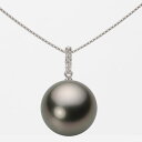 ブラック パール ネックレス 一粒 13mm 黒蝶 真珠 ペンダント K18WG ホワイトゴールド 18金 レディース NB00013R22RB01495W ムーンレーベル Moon Label