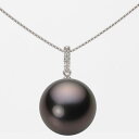 ブラック パール ペンダント トップ 14mm 黒蝶 真珠 ペンダント トップ K18WG ホワイトゴールド 18金 レディース NB00014R12BK014...