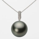 ブラック パール ネックレス 一粒 14mm 黒蝶 真珠 ペンダント K18WG ホワイトゴールド 18金 レディース NB00014R23PC01489W ム...