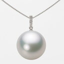 南洋真珠 パール ネックレス 一粒 15mm 白蝶 真珠 ペンダント K18WG ホワイトゴールド 18金 レディース NW00015R21WH01495W ム...