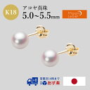 ベビーパール ピアス あこや真珠 5.0mm アコヤ 真珠 ピアス K18 イエローゴールド 18金 レディース HA00050R11WPNPA03Y ムーンレーベル Moon Label