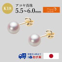 ベビーパール ピアス あこや真珠 5.5mm アコヤ 真珠 ピアス K18 イエローゴールド 18金 レディース HA00055R11WPNPA03Y ムーンレーベル Moon Label