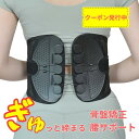 【クーポン発行中】≪New arrival)≫ 骨盤矯正 男女兼用 腰サポーター 腰用ベルト 腰用サポーター 骨盤矯正 骨盤 矯正 ケア 補正 骨盤補正 腰ベルト 骨盤ベルト 加圧腹巻 腰 ケア ベルト サポーター 腰コルセット 腰用 ベルト コルセット 腹巻 サポートベルト