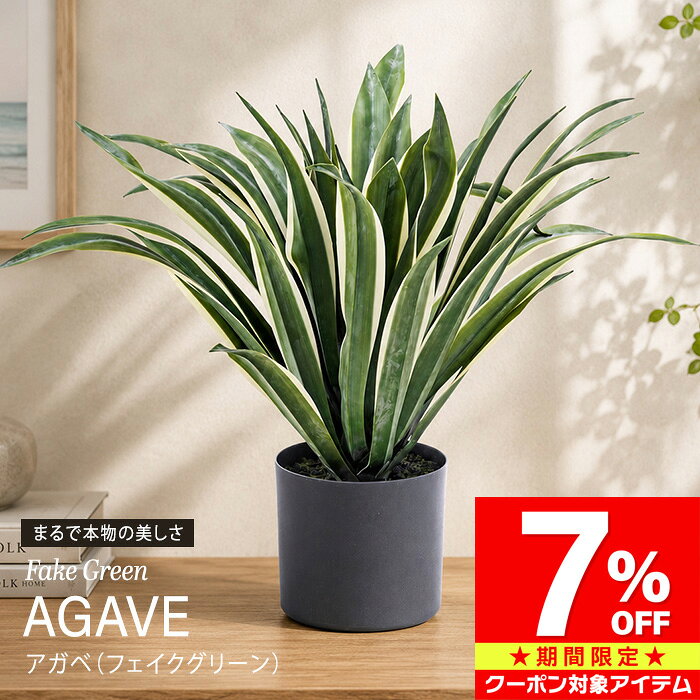 楽天市場】アガベ（インテリア・寝具・収納）の通販
