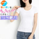 消臭 抗菌 インナー レディース 半袖 UV 丸首 汗取り 汗対策 ストレッチ 脇汗 大きいサイズ 春 夏 秋 冬 温度差をちょうどいいにするインナー