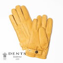 DENTS ペッカリー Hampton グローブ カシミヤ ライニング ハンプトン 15-1564 【MENS】 メンズ 男性 革手袋 本革