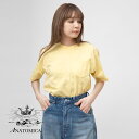 【5％OFFクーポン対象】【返品交換送料無料】アナトミカ ポケT ポケTEE 半袖 Tシャツ 白T 無地 カットソー メンズ レディース ANATOMICA MADE IN JAPAN 日本製