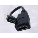miniHDMI変換ケーブル HDMI(メス)→miniHDMI(オス) 20cm HDMIB-M2G2 変換名人/4571284884663/送料無料(北海道沖縄離島除く)(2)