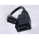 miniHDMI変換ケーブル HDMI(メス)→miniHDMI(オス) 20cm HDMIB-M2G2 変換名人/4571284884663/送料無料（北海道沖縄離島除く）