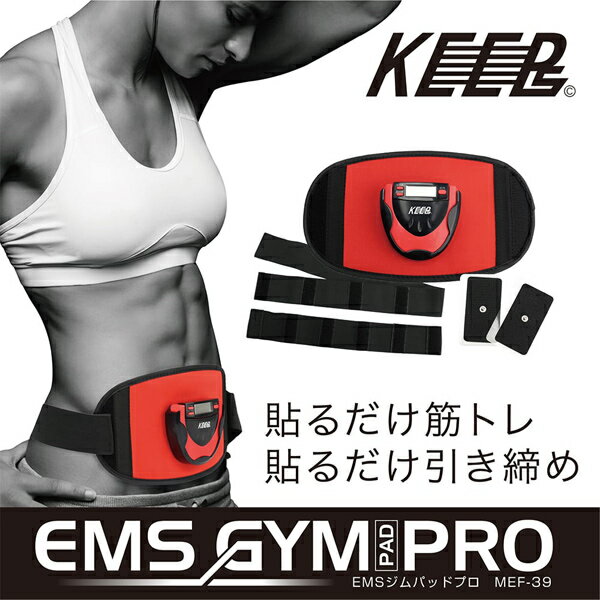 EMS ジムパッドプロ EMS GYM PAD PRO MEF-39 4627 マクロス 2