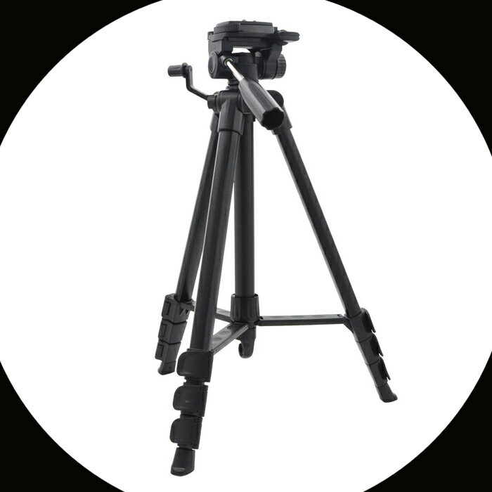 ������̵���ʲ���Υ������ˡ�4�ʥ�����緿���� 1550mm/�������/�����å����塼