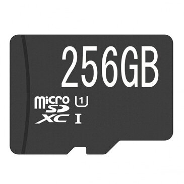 マイクロSDカード microSDXCカード 256GB 256ギガ クラス10 お得/memoryマイクロSD/送料無料メール便　ポイント消化