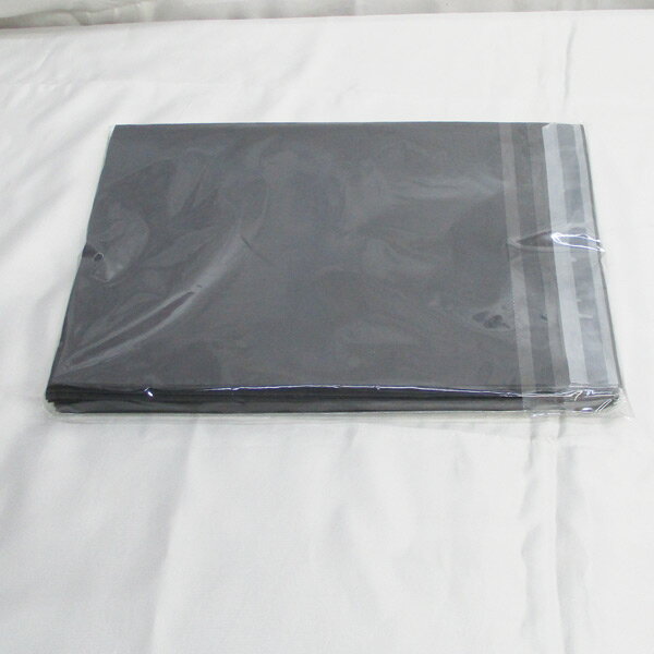 宅配袋 宅配ビニール袋 グレーG1 180×250mm フタ40mm 厚さ0.07mm 100枚/送料無料メール便