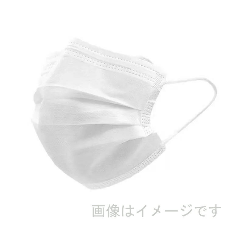 マスク 不織布 3層構造 成人用/1015 50枚入りx4箱セット/卸