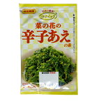 送料無料メール便 辛子あえの素 20g 3〜4人前 菜の花 ほうれん草 小松菜 いろんなお野菜で 日本食研/5733x2袋セット/卸　ポイント消化