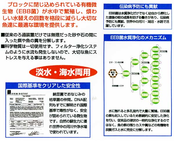 �Х����ߥ˥֥��å��ʥХ������ߥˡ��֥��å��˿���ο��������x1��