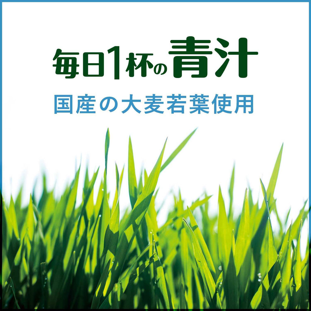 送料無料 伊藤園 毎日1杯の青汁 ソイラテ 紙パック 200ml/4901085622513x48本/卸 ...