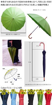 16本骨ポンジージャンプ和傘/お色選択　法人配送のみ/個人宅配送不可 単品配送